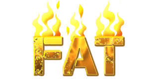 Burning Fat